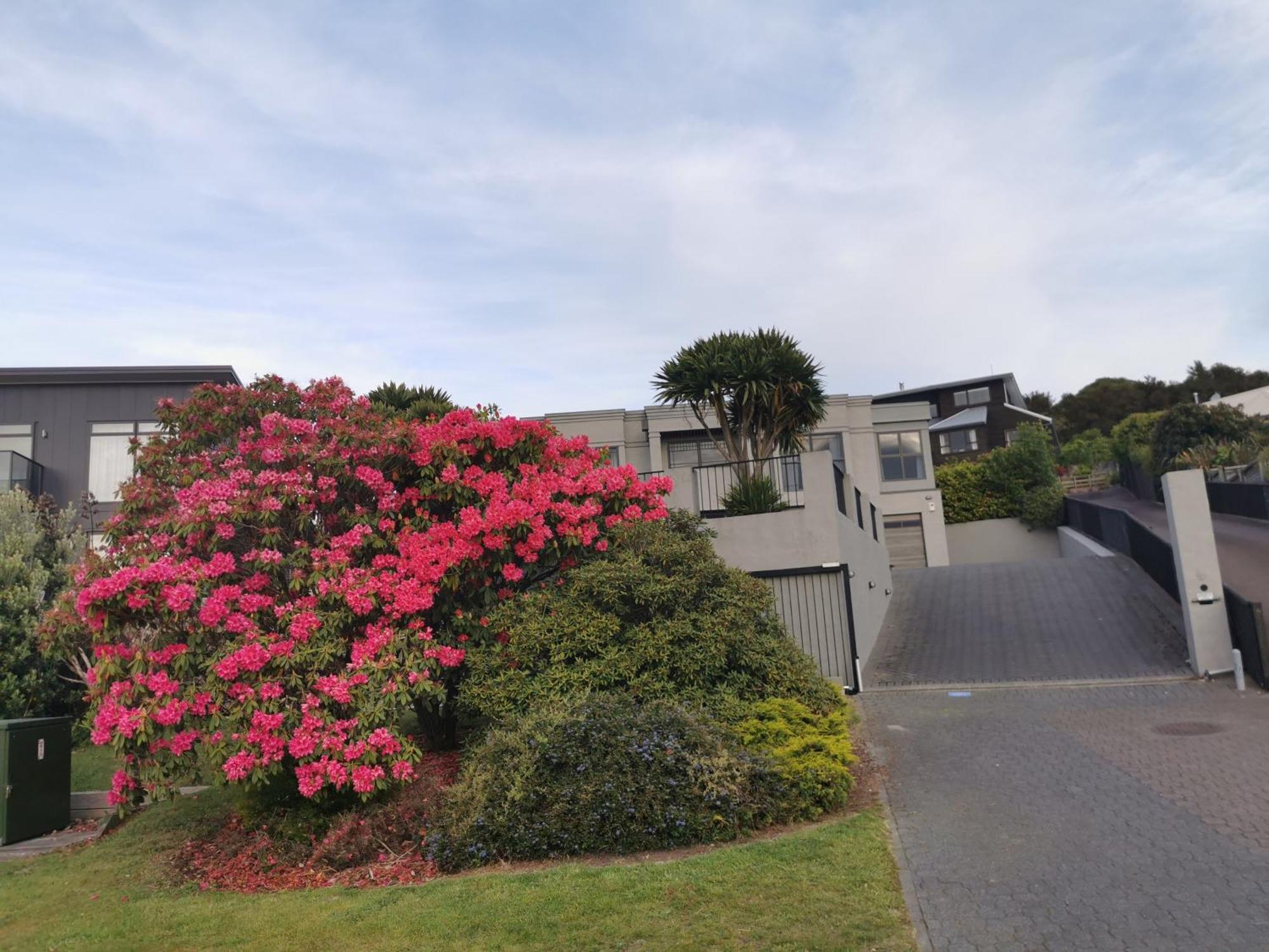 Lakeview Holiday Hideaway Taupo Exterior photo